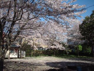 会場の様子 会場の様子