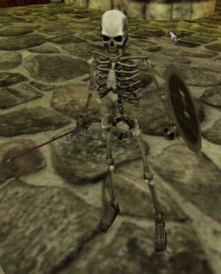 My Pet My Pet